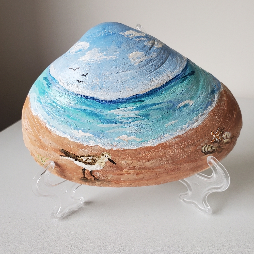 Original Beach Sand Piper Hand-Painted Coastal Shore 4.75" Seashell By Art4annz